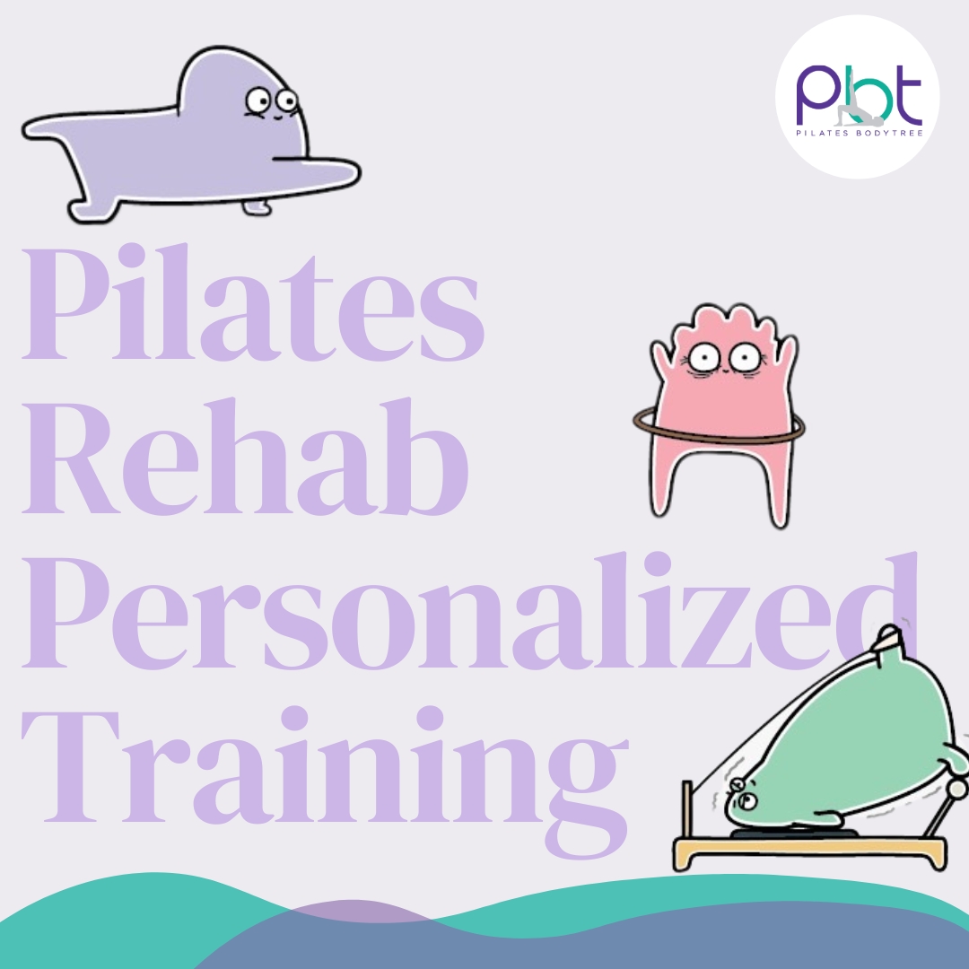 Pilates Rehab PT