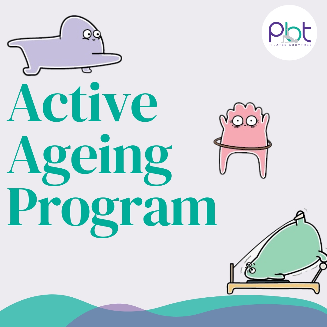 Active Ageing Program